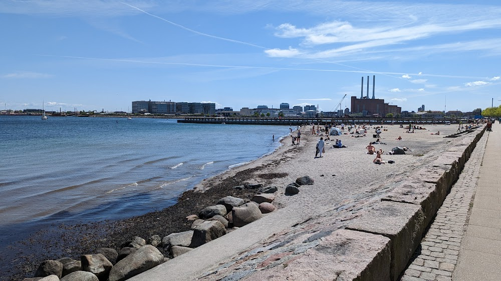 Familiens ære : stranden