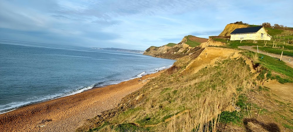 Far from the Madding Crowd : Oak's sheep driven over the cliffs