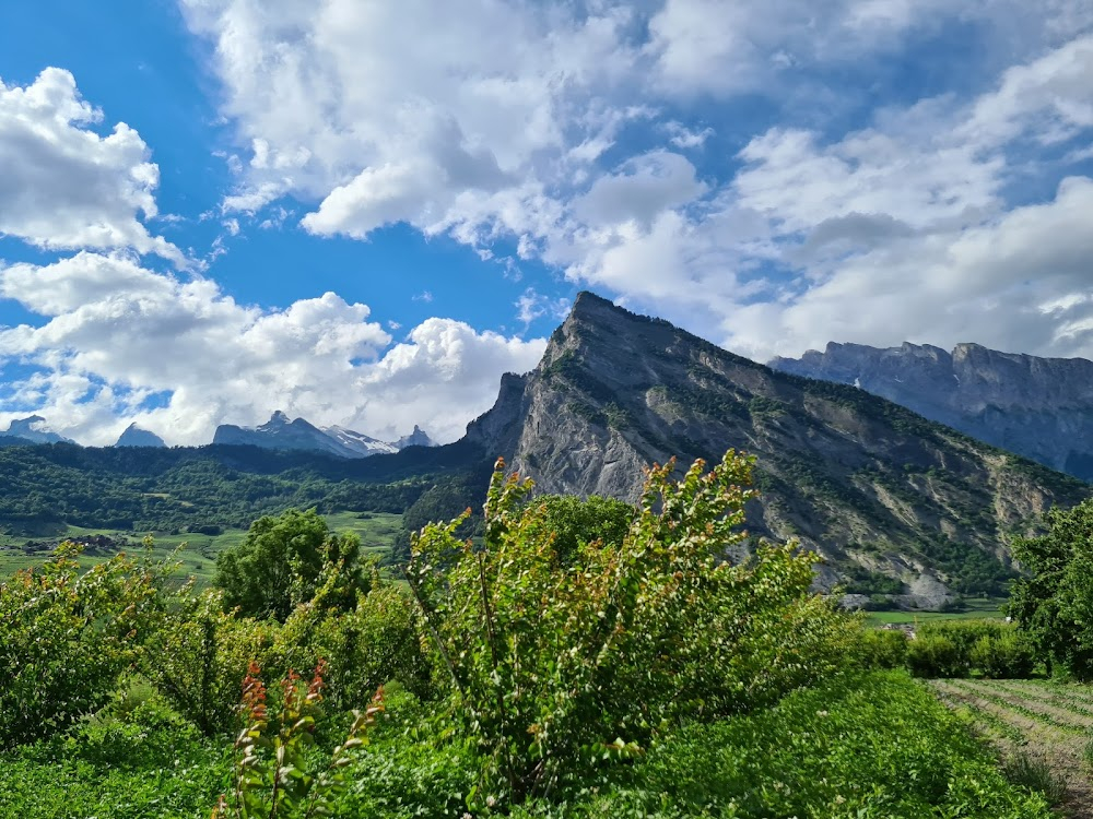 Farinet ou l'or dans la montagne : 