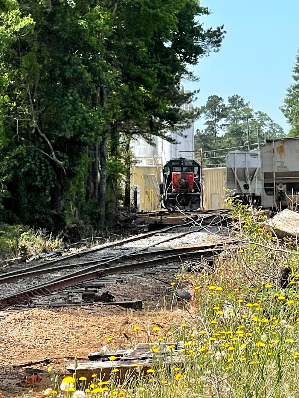 Father Figures : Railroad Crossing Scene