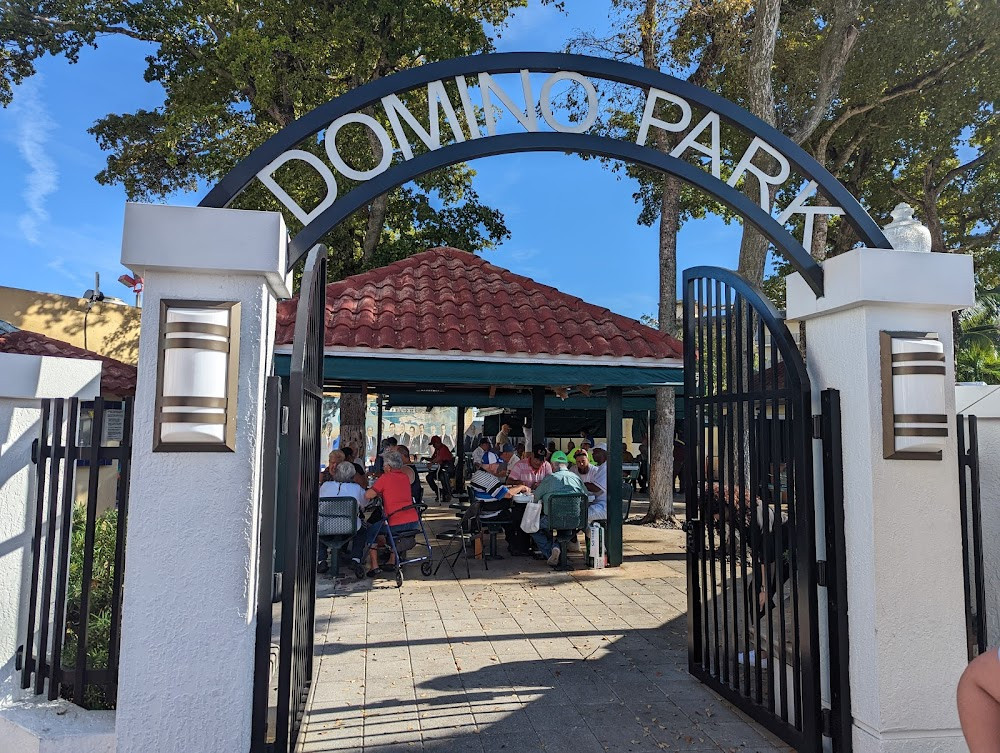 Father of the Bride : Domino Park