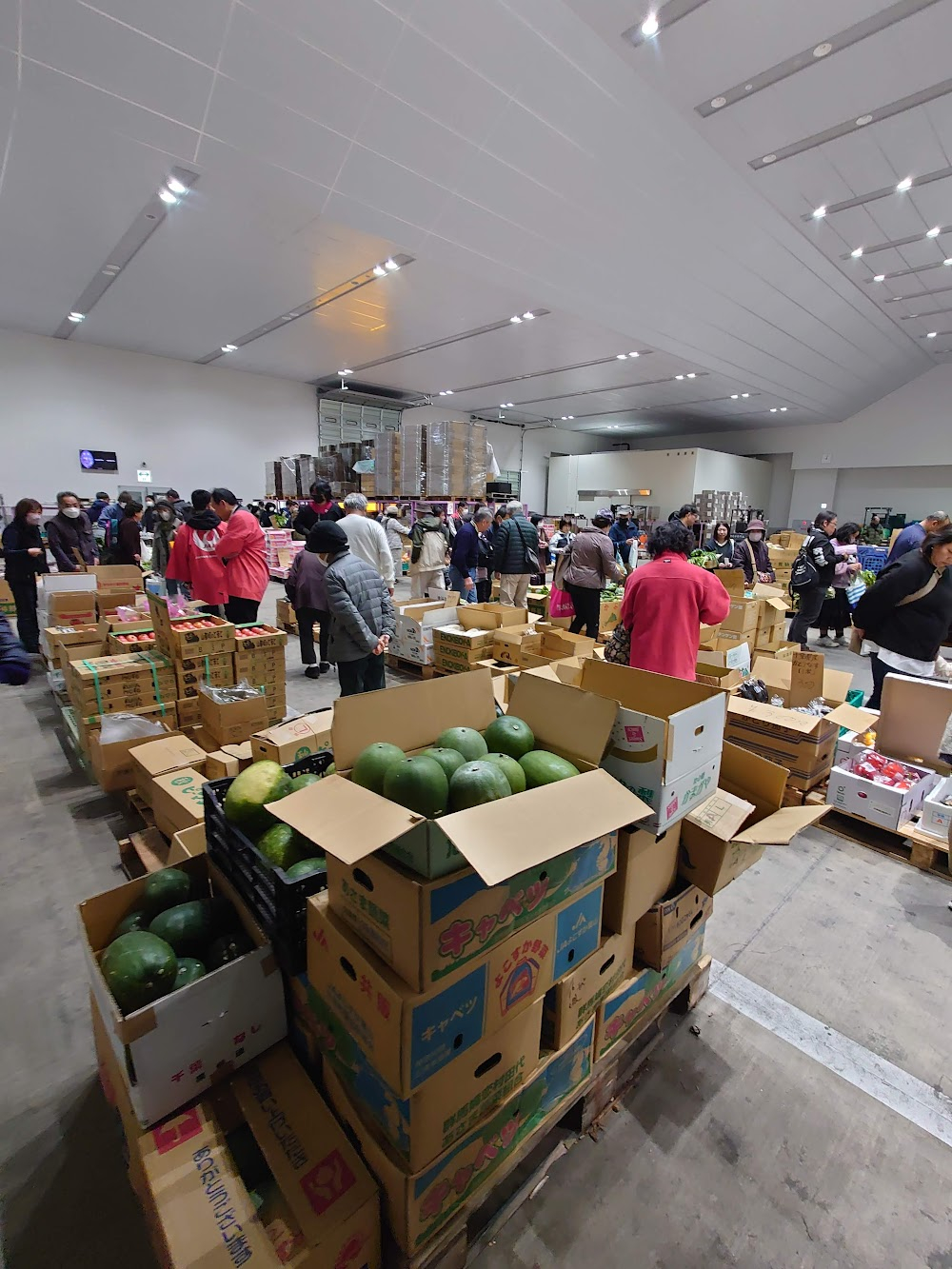 Fei lung gwoh gong : Tsukiji Market scenes