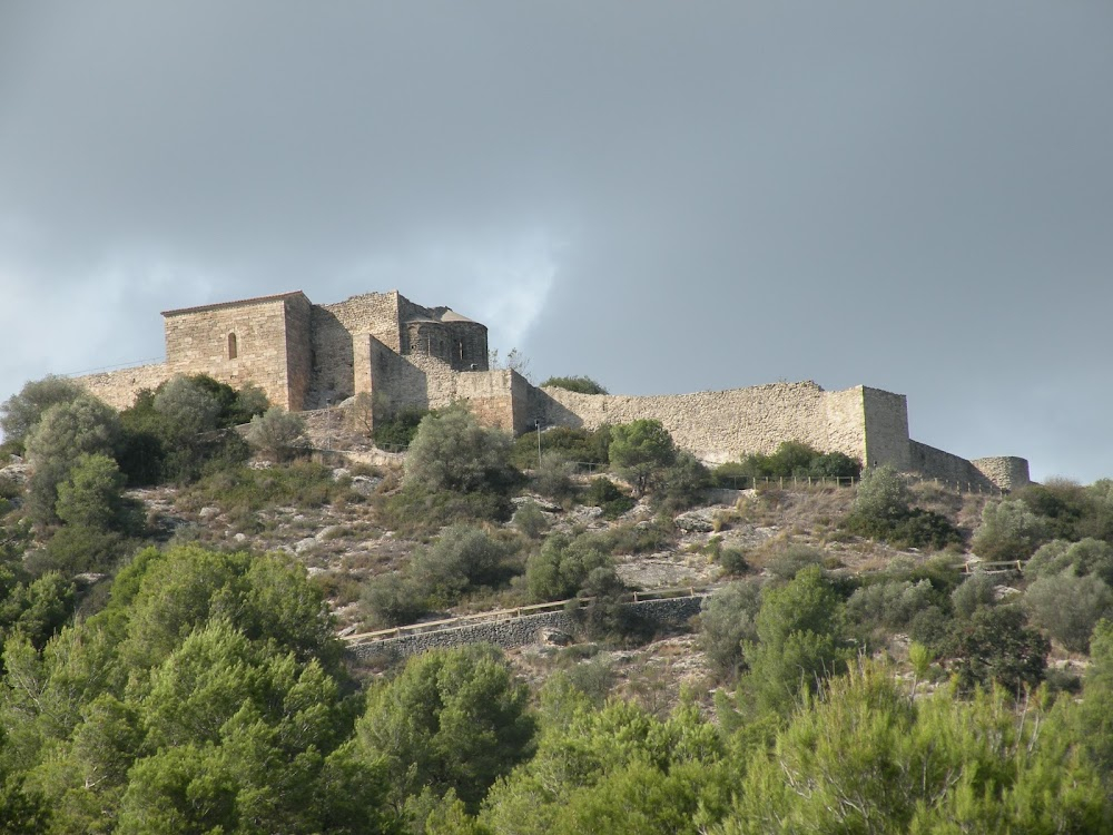 Fèlix a la muntanya de Sant Cebrià : 