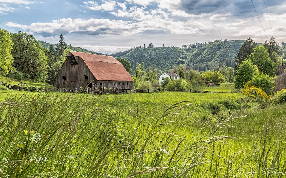 First Cow : Fort Umpqua