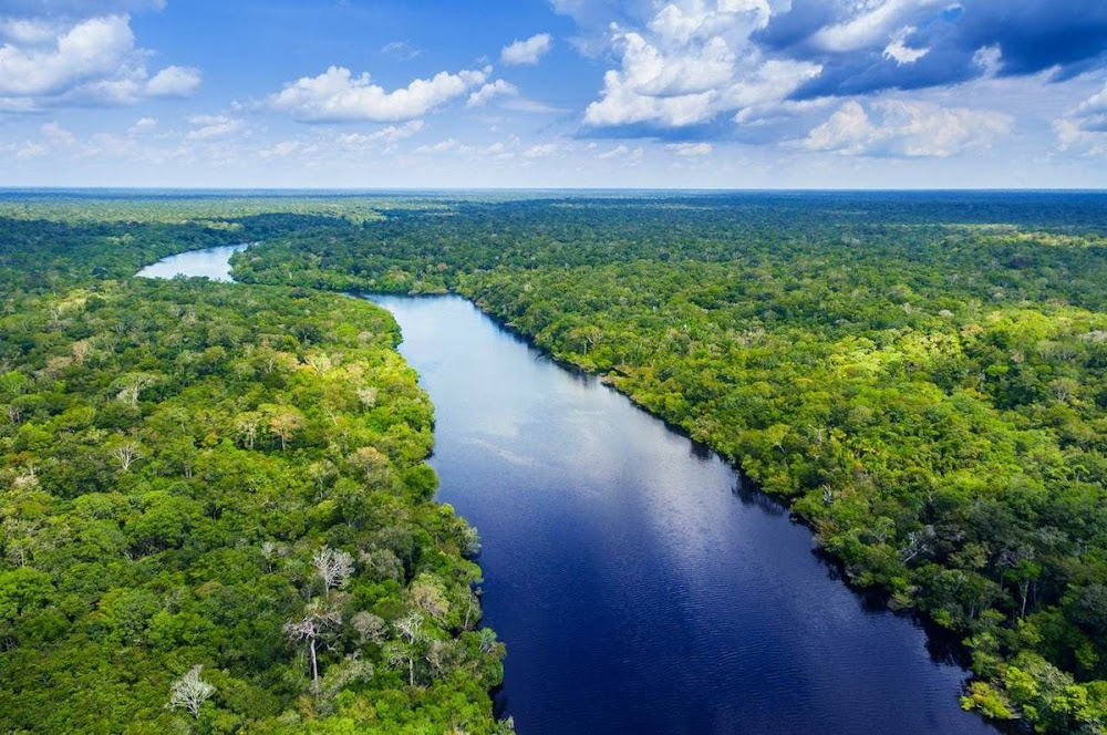 S.O.S. Amazonas: Apokalypse im Regenwald : location