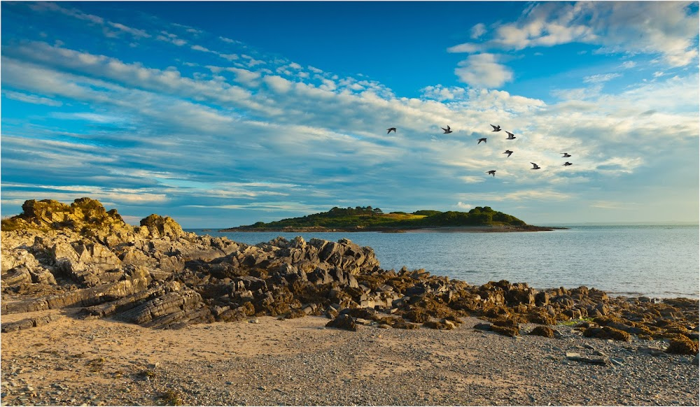 Five Red Herrings : Lord Peter Wimsey finds Henry Strachan painting the Isles of Fleet