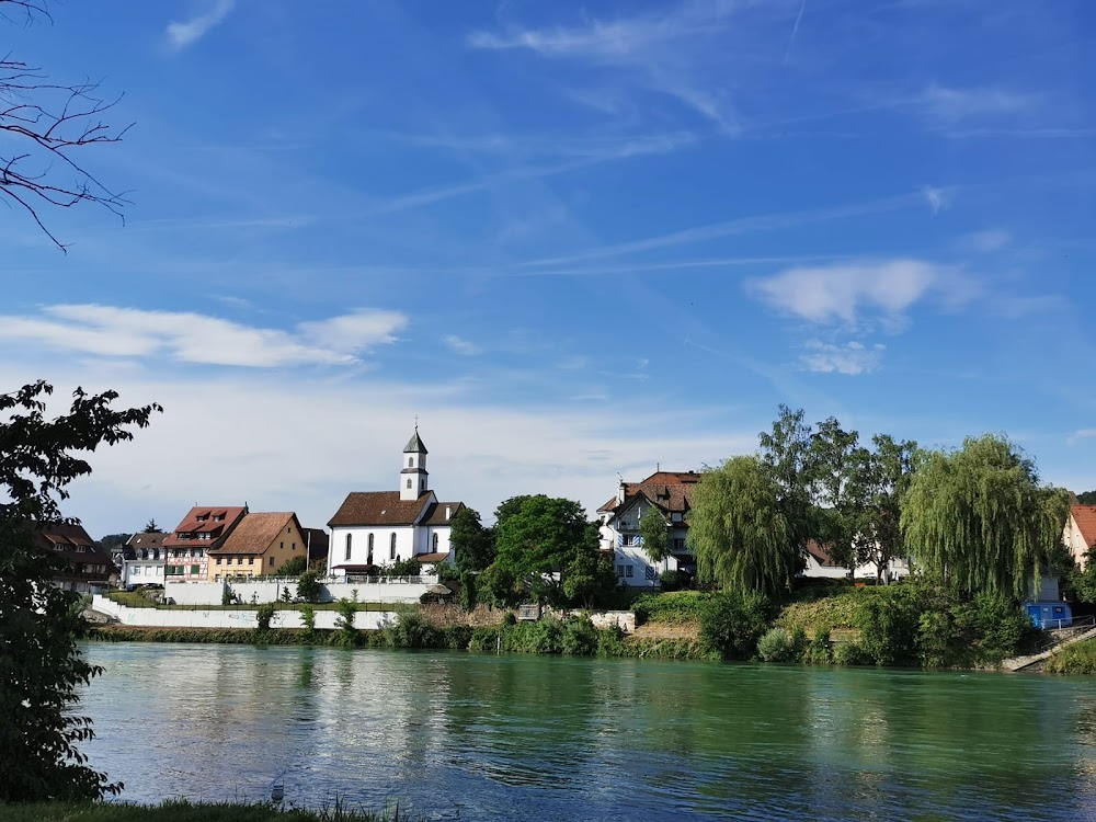 Fliegende Fische müssen ins Meer : 