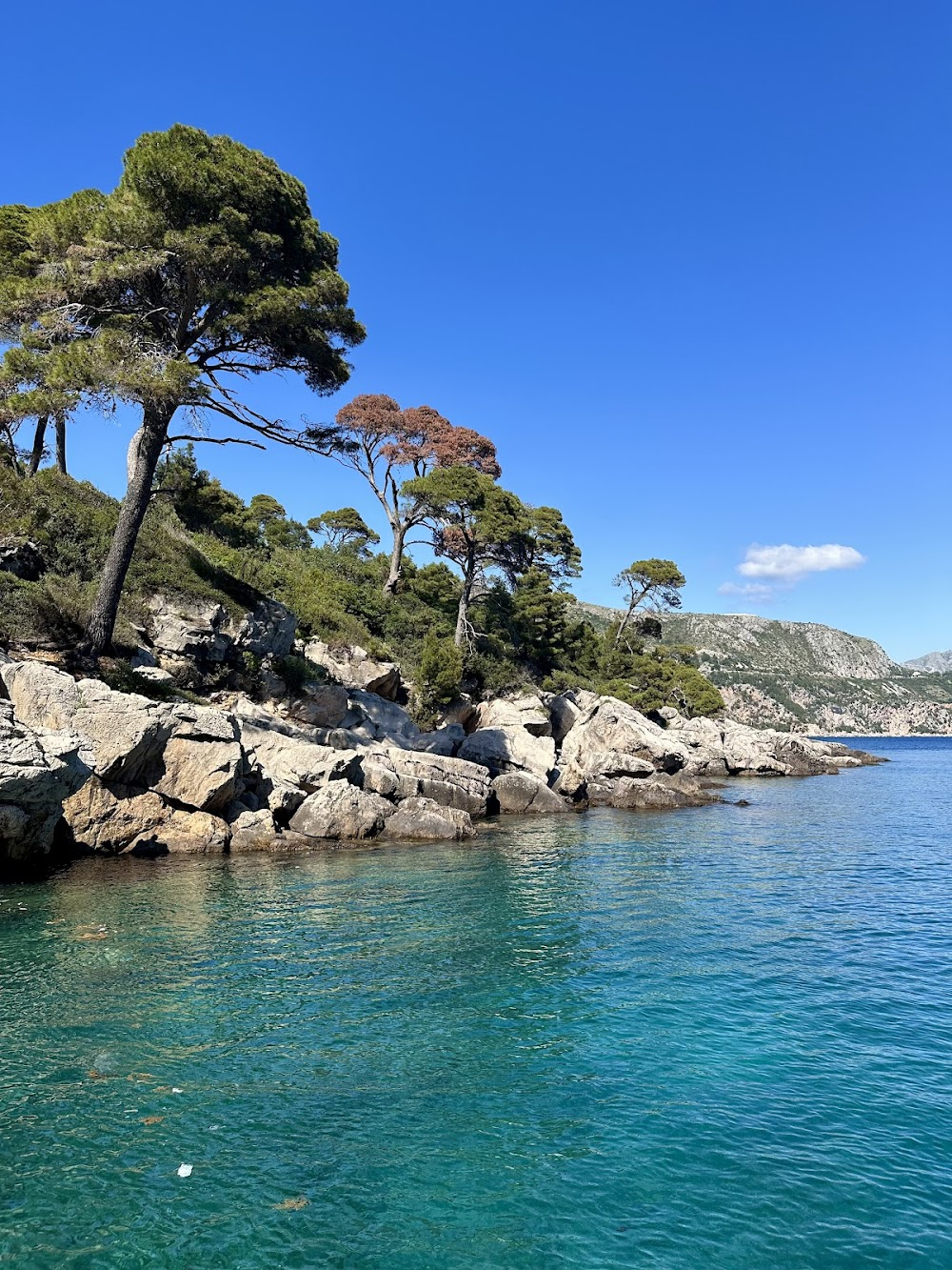 Forbidden Sun : Lokrum monastery and rocky coastal scenes of the island.