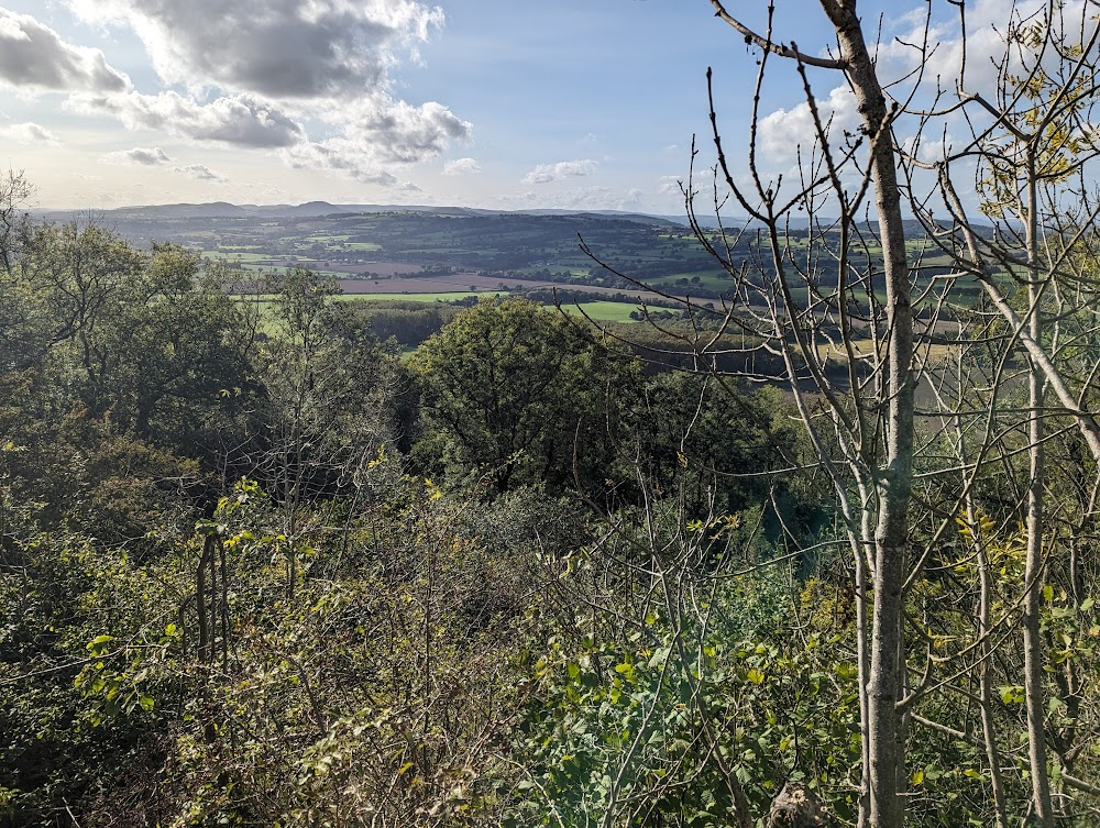 Forest Gardening with Robert Hart : 