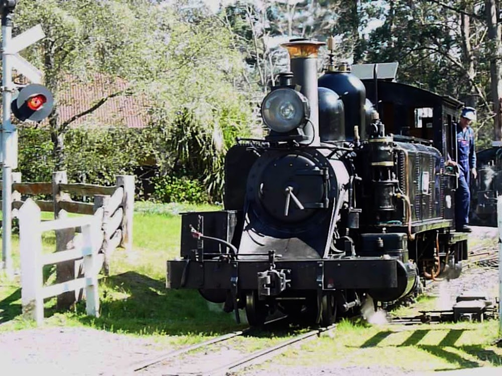 Frog Dreaming : location: Menzies Creek Railway Station