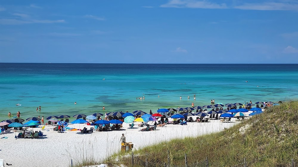 Liberty & Slavery: The Paradox of America's Founding Fathers : beach scenes