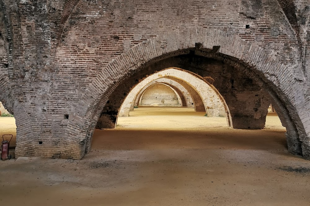 Game of Thrones : Underground storage with skeletons of dragons in King's Landing