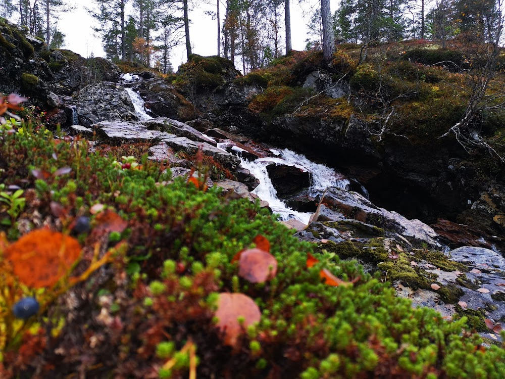 Gåte på Storås : Consert