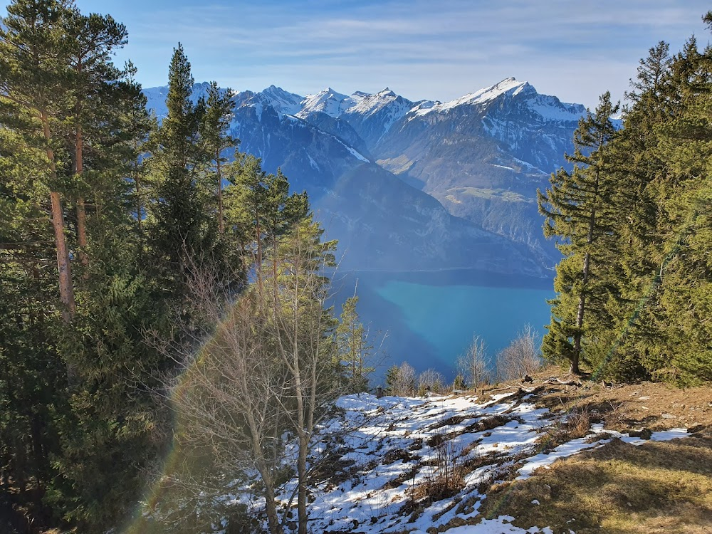 Der letzte Postillon vom St. Gotthard : 