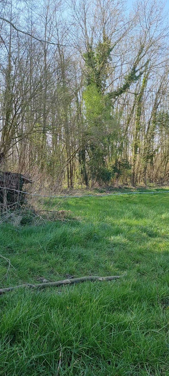 Germinal : recreation of a village in a farmyard