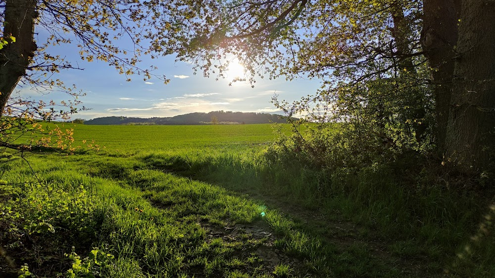 Geschichten aus den Hunsrückdörfern : 