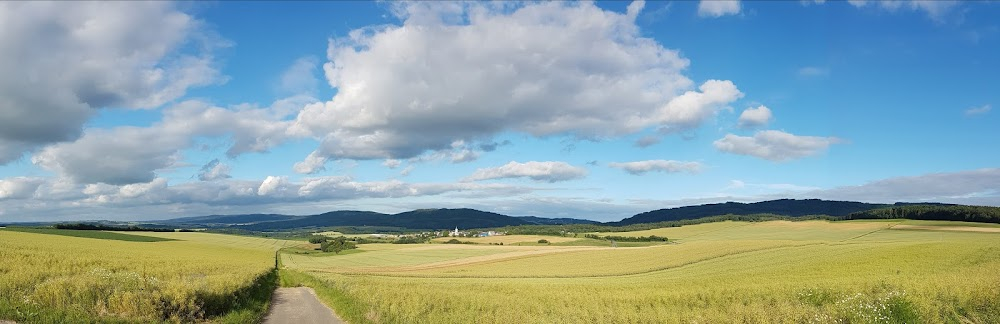 Geschichten aus den Hunsrückdörfern : 