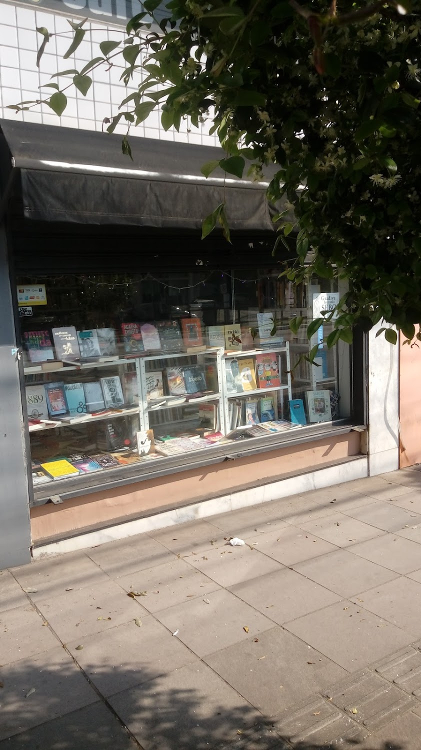 Gestos : Anna's bookstore