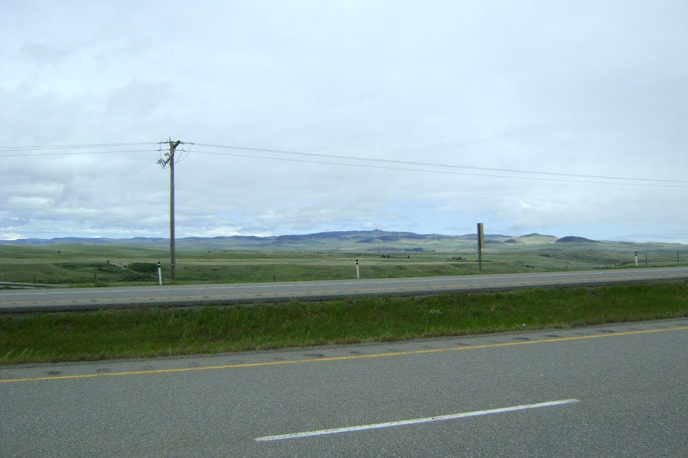 Getting Married in Buffalo Jump : 