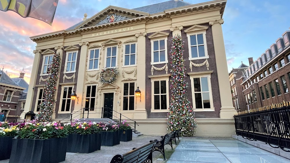 La fenêtre ouverte : Den Haag museum