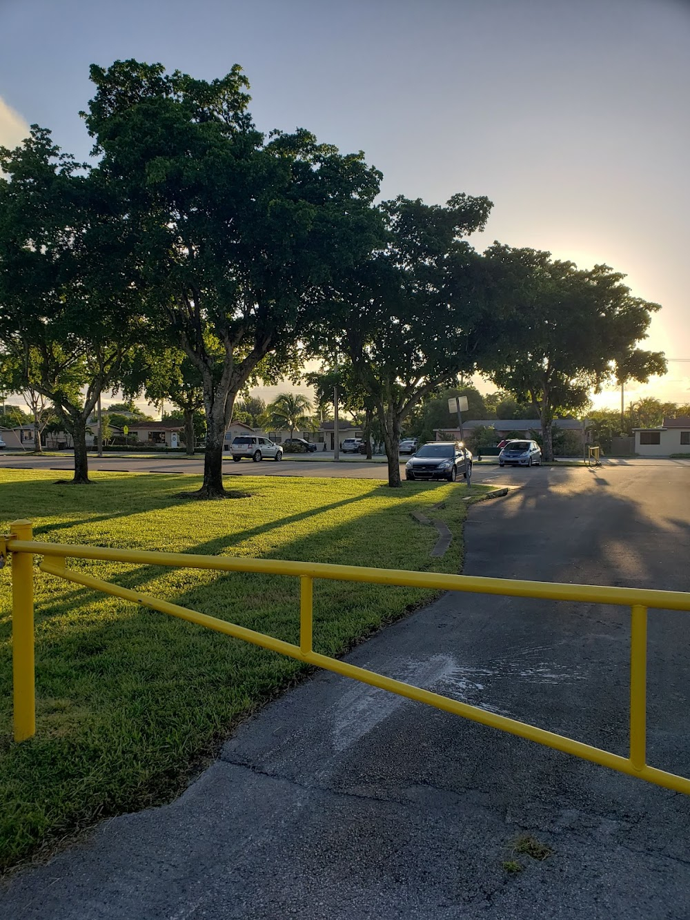 Glimpses of Florida : Hialeah Park Race Track