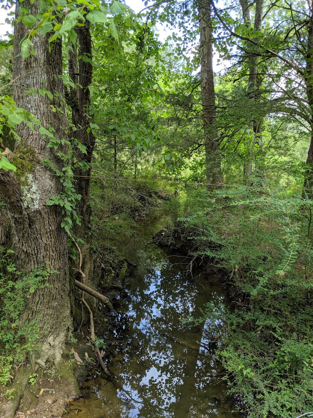 Glory Land: Trail of Tears : 