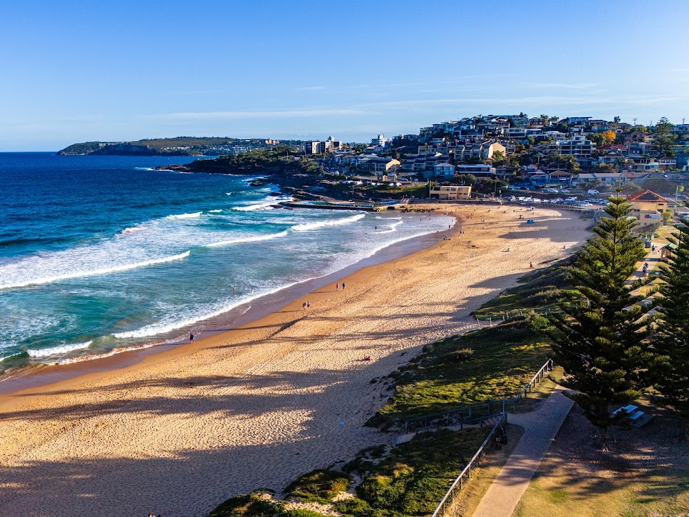 Bondi Tsunami : 