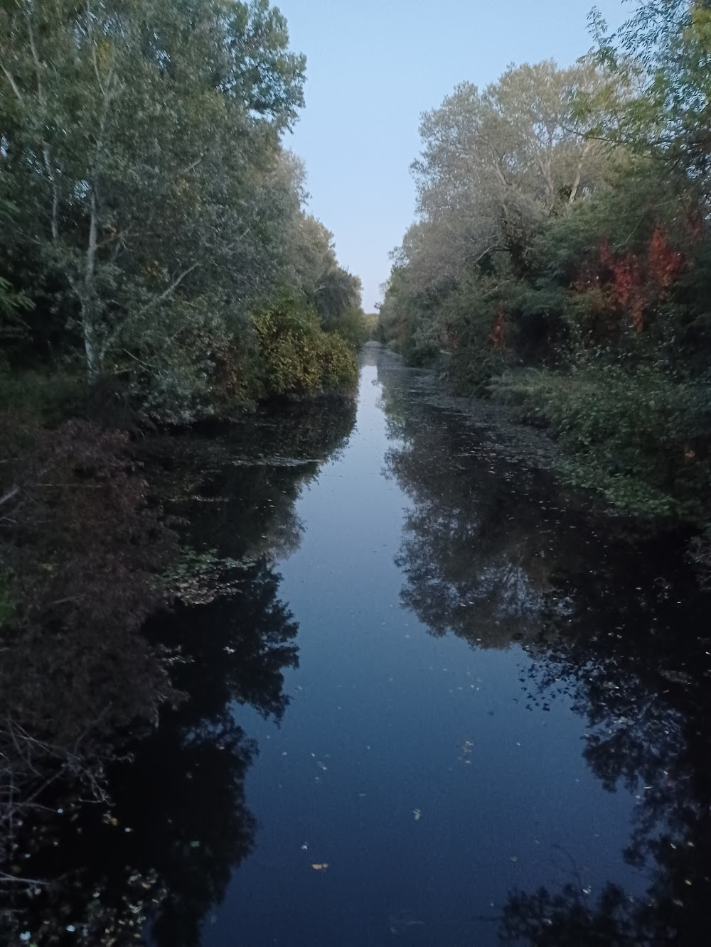 Grand Central : river banks