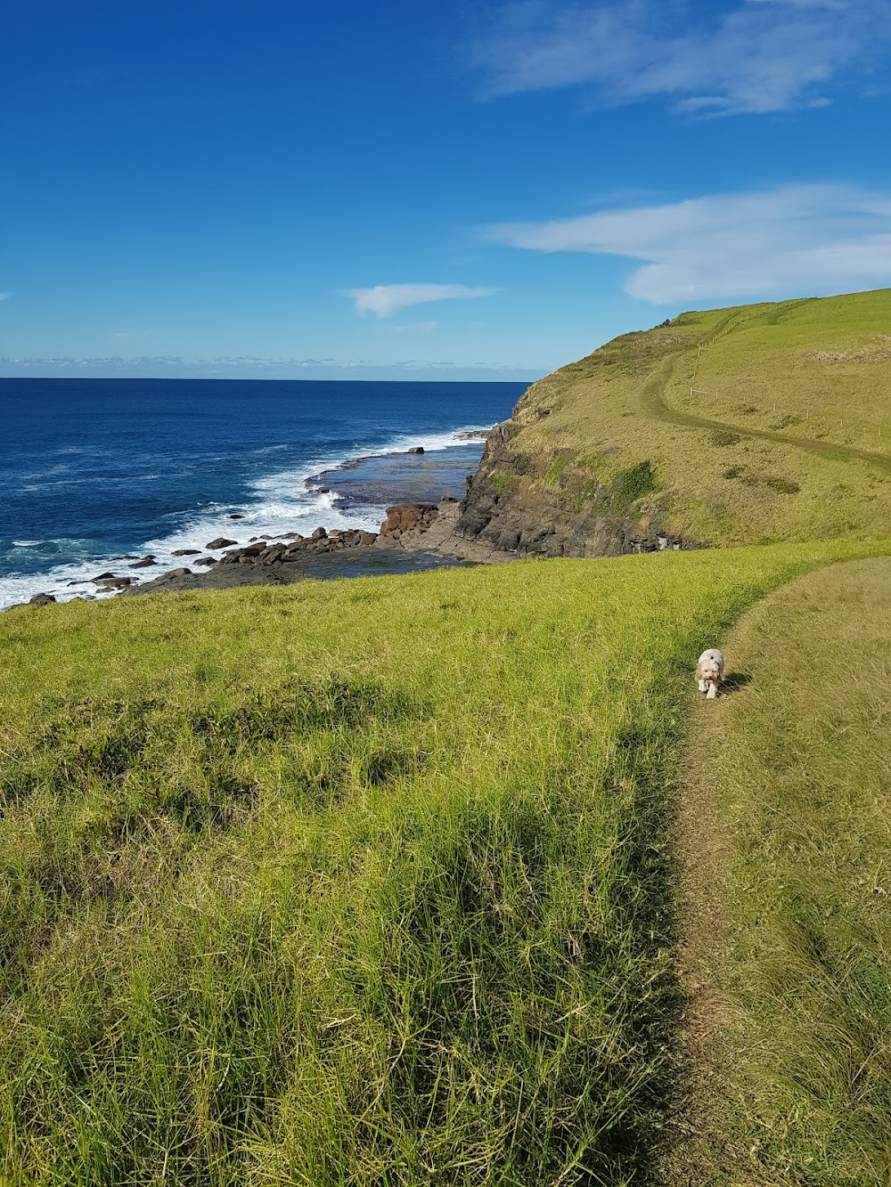 Great Australian Walks : 1.4