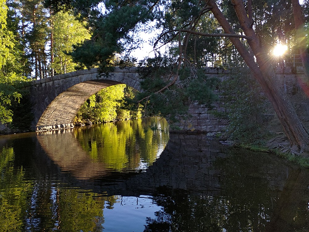 Hamsterit : bridge