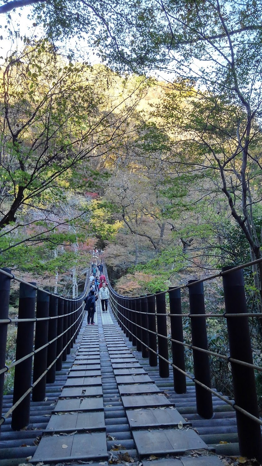 Moshi kôkô yakyû no joshi manêjâ ga Dorakkâ no 'Manejimento' o yondara : 