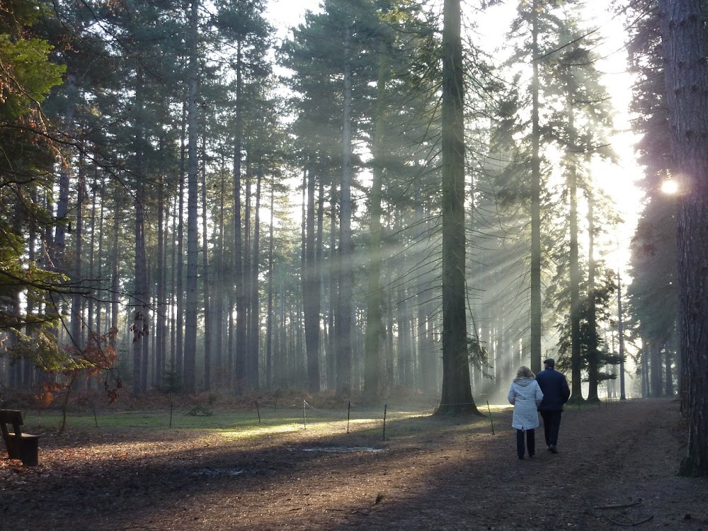 Reflected Visions : on location