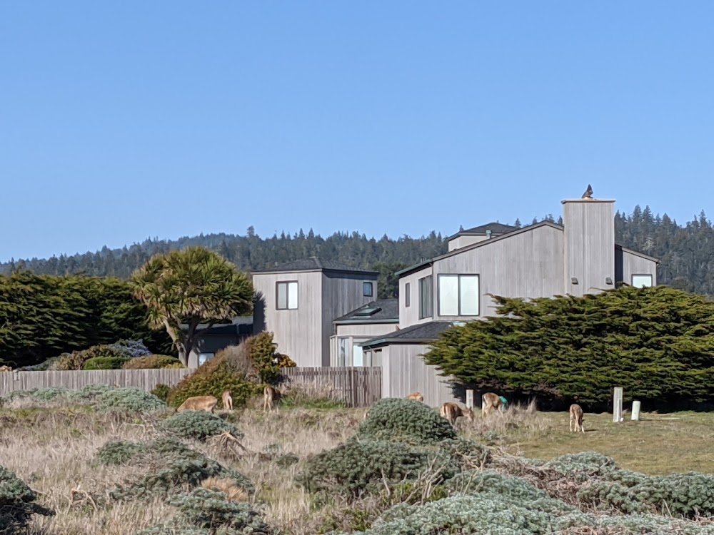 The Sea Ranch: Architecture, Environment, and Idealism : 