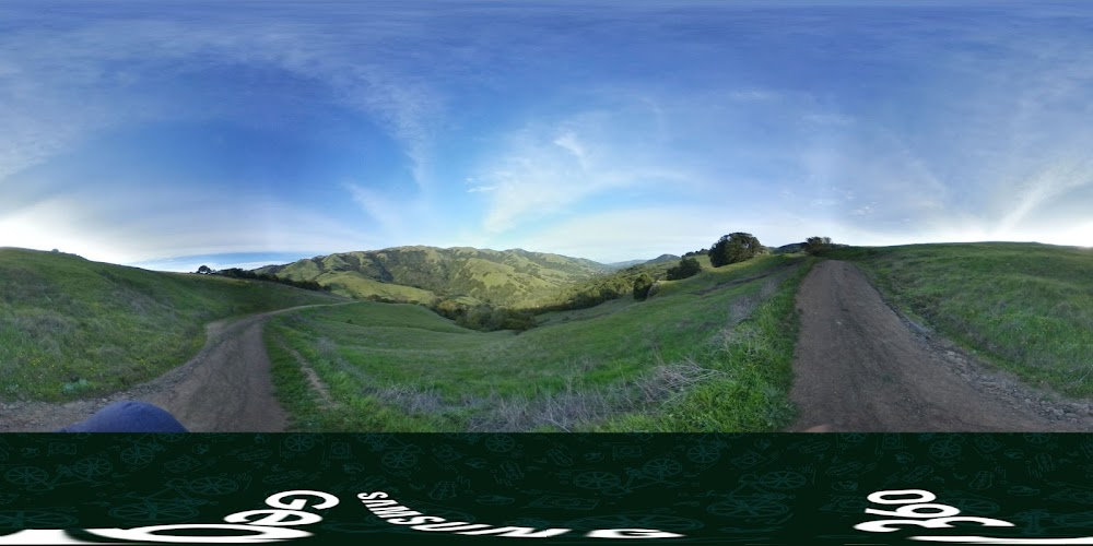 Heroes : scene where Jack and Carol walk on a road alongside giant redwood trees / shot within feet of the future location of George Lucas' Skywalker Ranch.