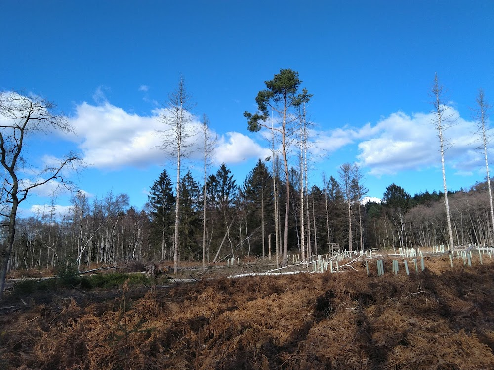 Het galgenven : De Meinweg National Park