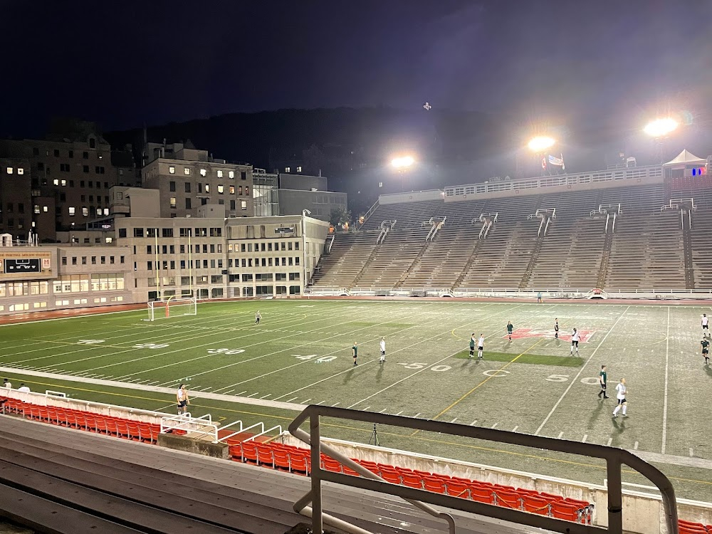 Hochelaga, Terre des Âmes : Stadium scenes