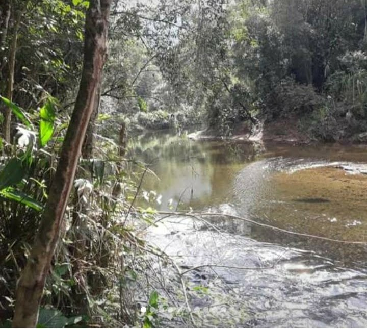 Hoje Eu Quero Voltar Sozinho : Acampamento