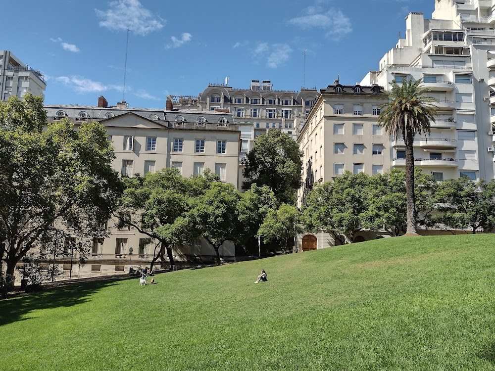 Buenos Aires Vice Versa : Bocha climbing tree