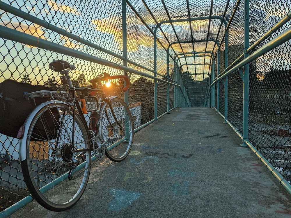 Homeward Bound II: Lost in San Francisco : Blood Red Van passes a pedestrian bridge that Shadow and Sassy are walking on