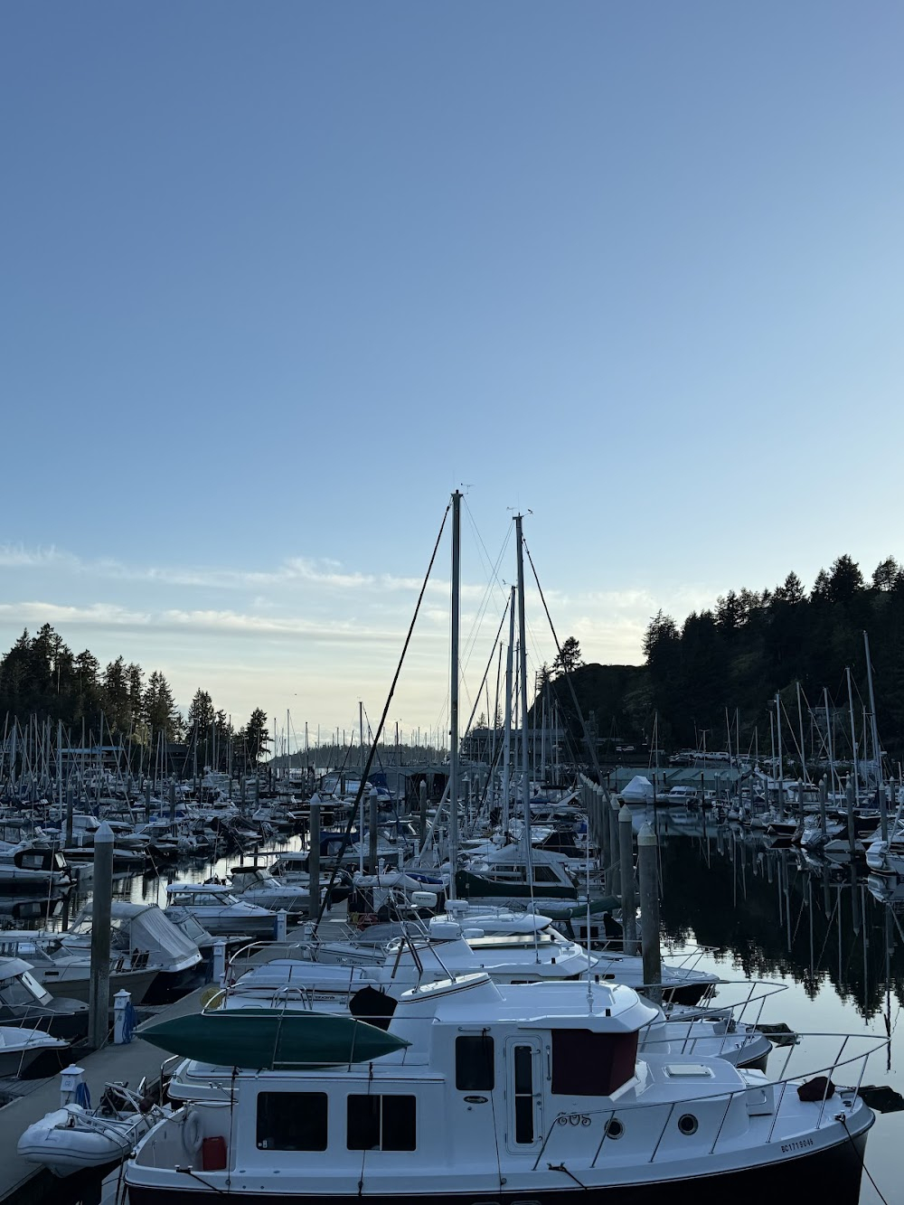 Homeward Bound II: Lost in San Francisco : the family drives past a marina