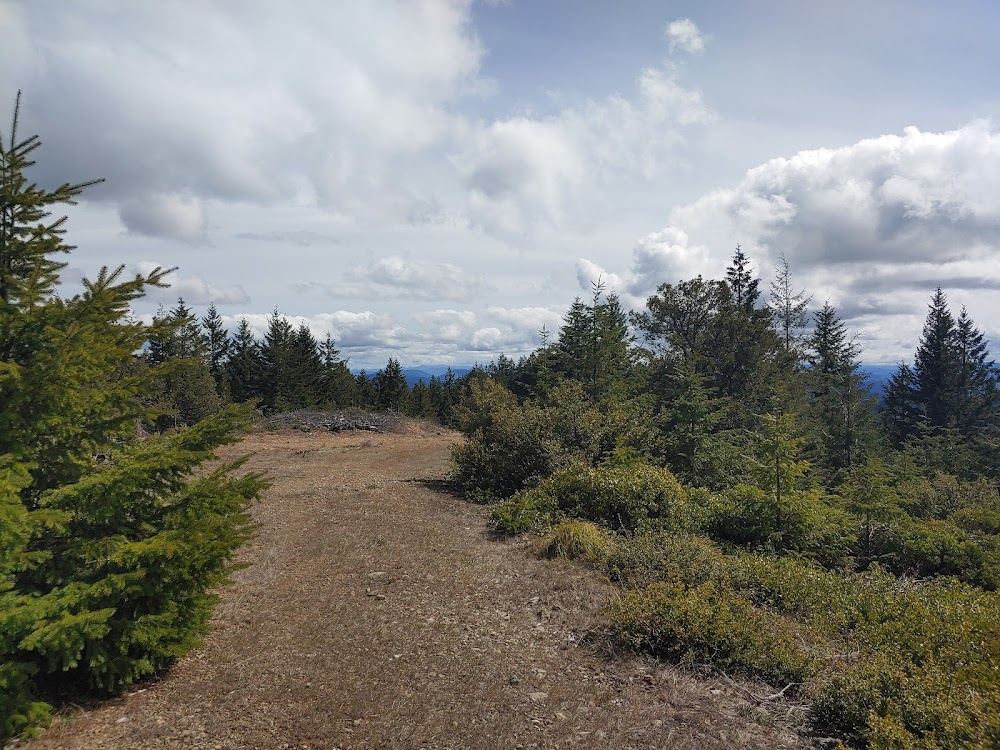 Homeward Bound: The Incredible Journey : lookout tower