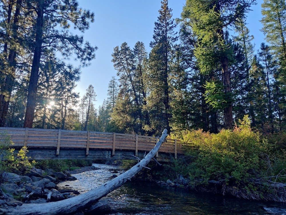 Homeward Bound: The Incredible Journey : covered bridge