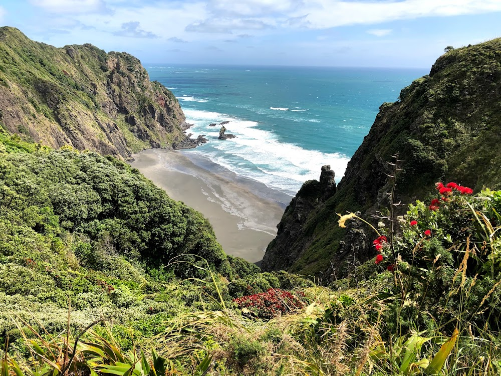 The Map Reader : location: Titirangi