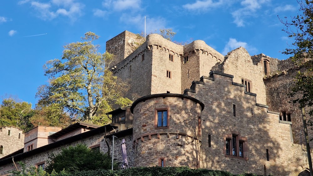 Husch, husch ins Körbchen : 