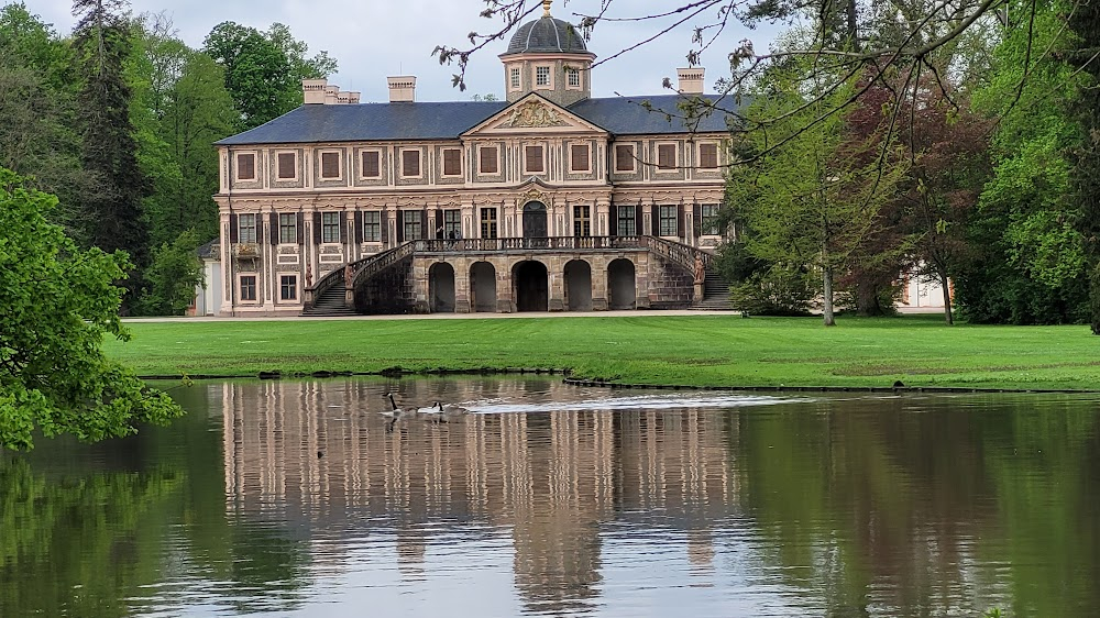 Husch, husch ins Körbchen : 