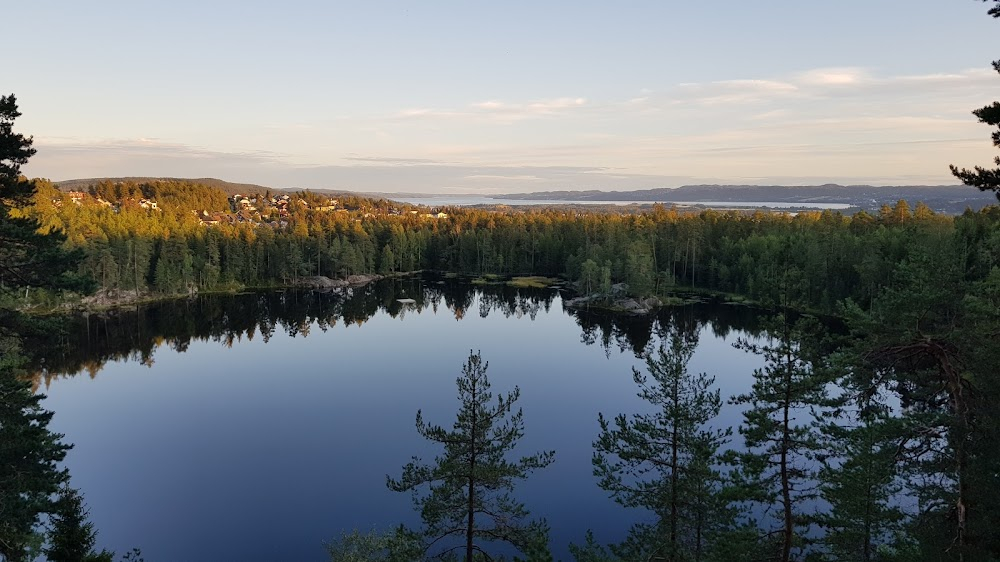 Hva skjedde med Solveig? : Svarttjern