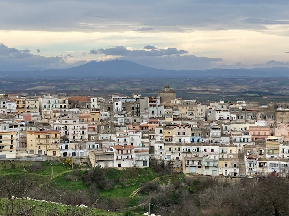 Dietro gli occhiali bianchi : 