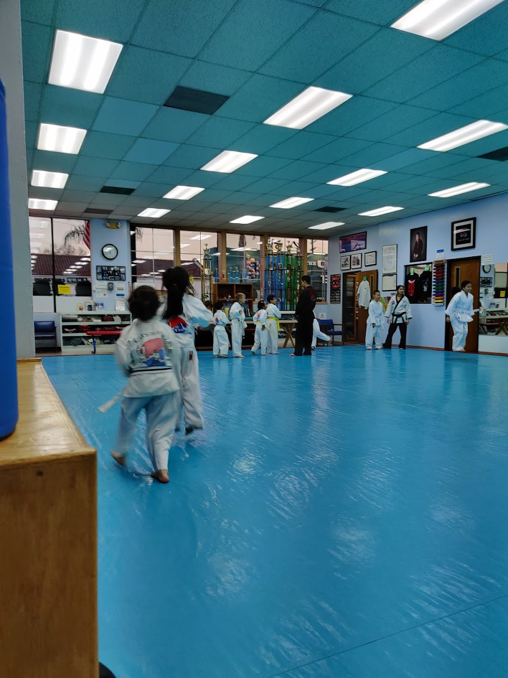 I Hate Kids : Fabular outed as charlatan by Tae Kwan Do insructor