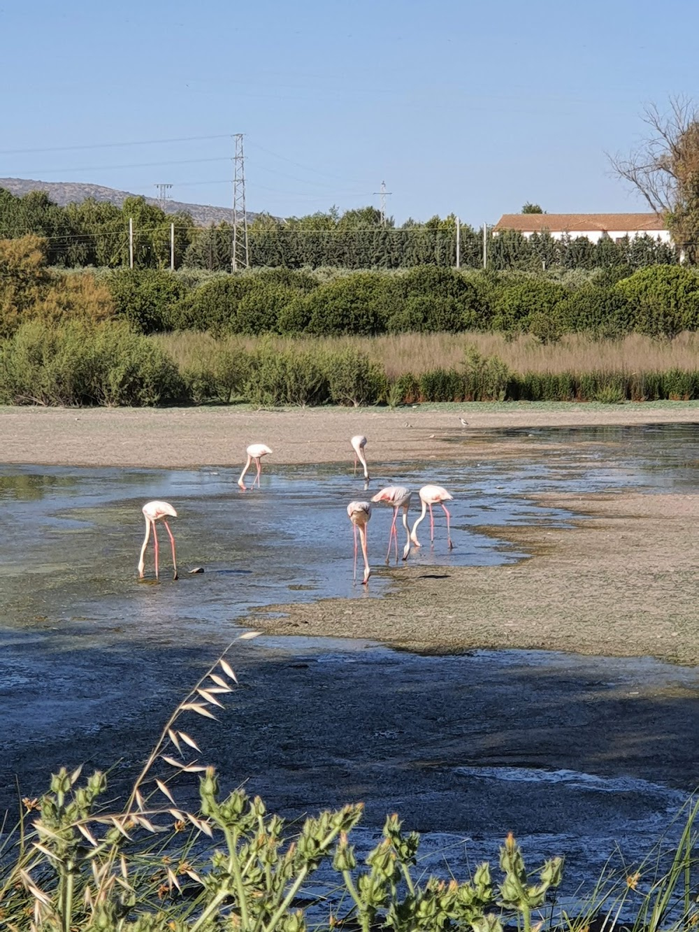 Iberia, naturaleza infinita : 