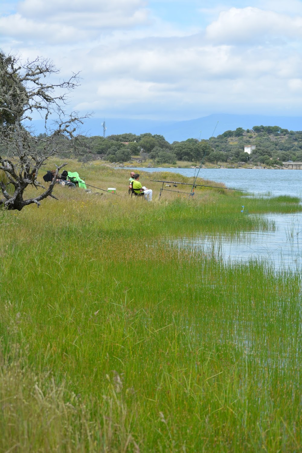 Iberia, naturaleza infinita : 